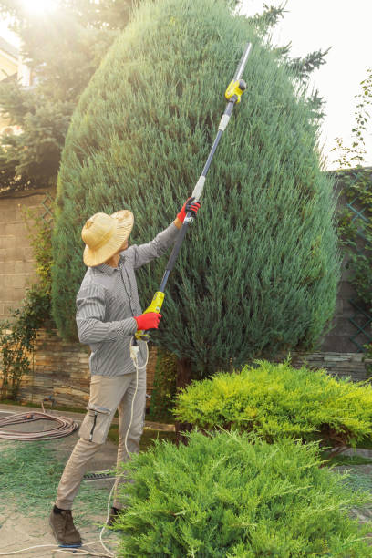 Best Landscape Design and Installation  in Dayton, VA